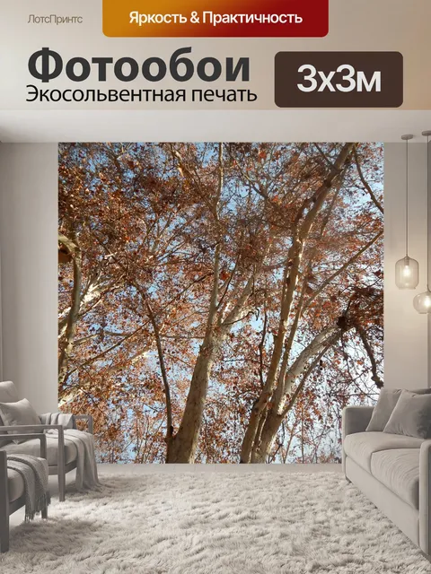 Фотообои Деревья