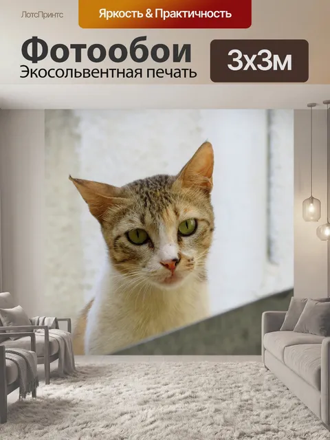 Фотообои Милый