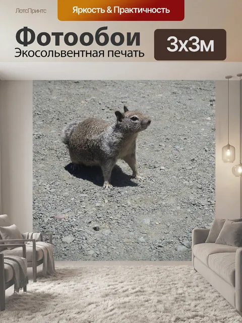 Фотообои Белка