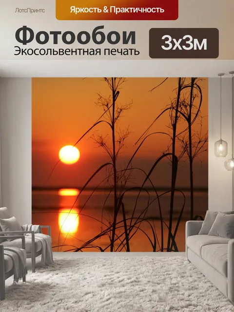 Фотообои Вечерний закат