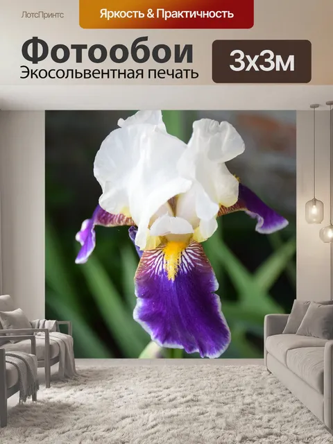 Фотообои Ирис