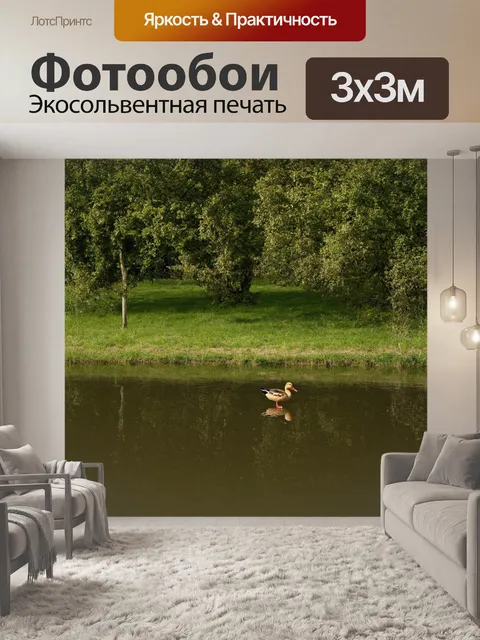 Фотообои англия: в лесах национального парка котсуолдс панорама безмятежности — пустые тропинки
