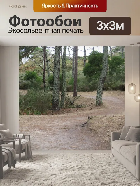 Фотообои Путь