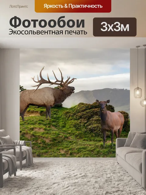 Фотообои Горы