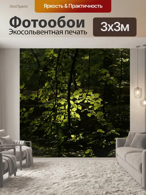 Фотообои Лес