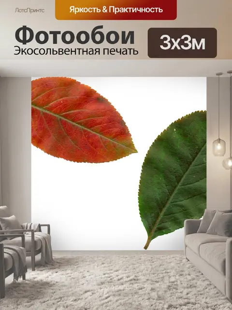 Фотообои Клипарт