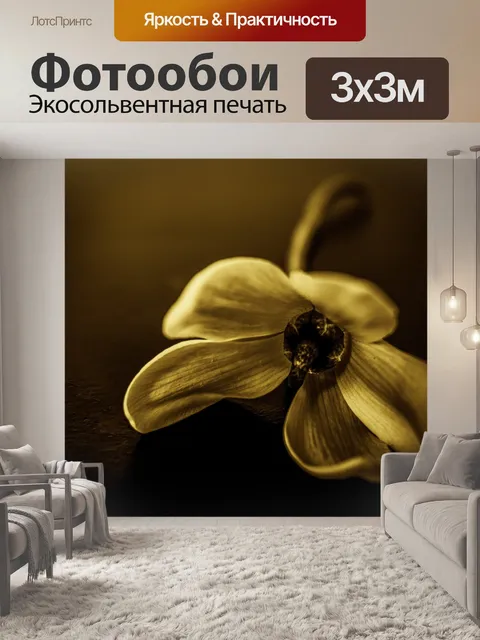 Фотообои Фотография