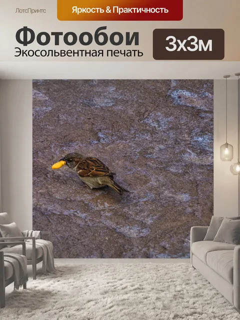 Фотообои Воробей
