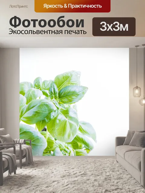 Фотообои Бэзил