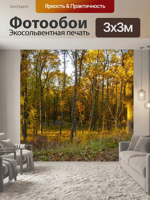 Фотообои Лес
