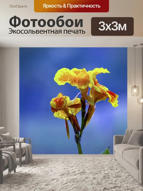 Фотообои Цветок