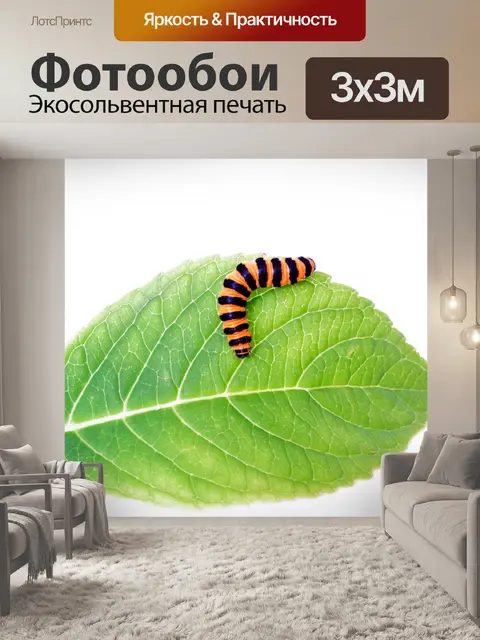 Фотообои Гусеницы