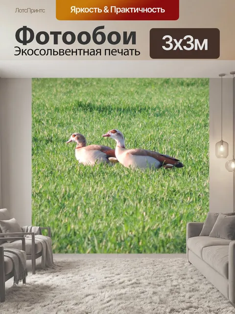 Фотообои Трава