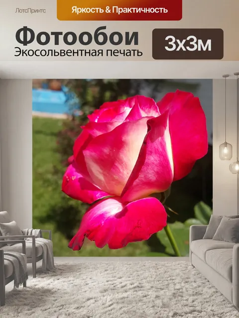 Фотообои Двойное наслаждение