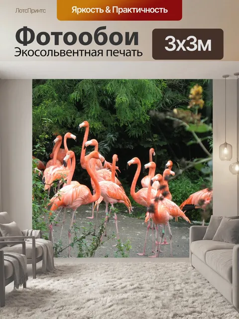 Фотообои Птицы