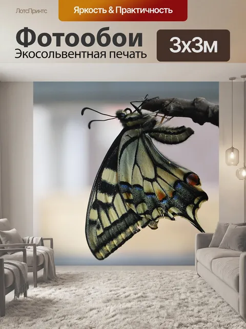 Фотообои Парусники бабочки