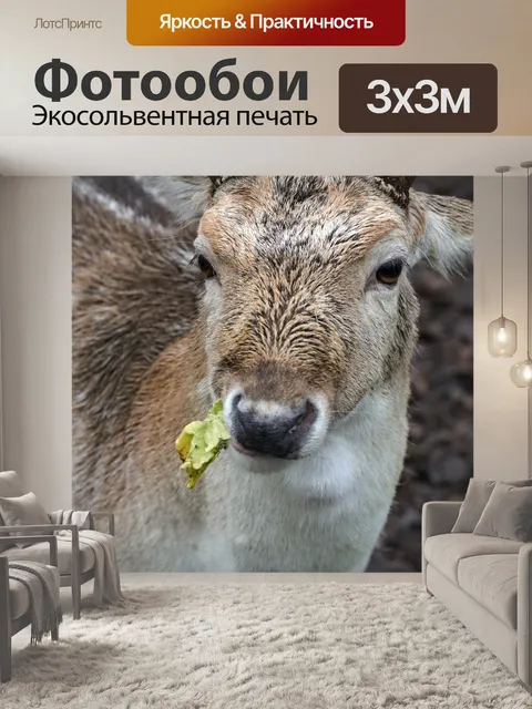 Фотообои Лес