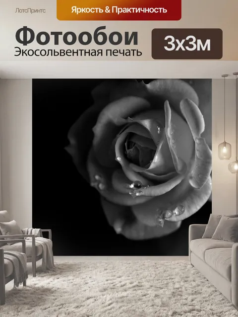 Фотообои Роза