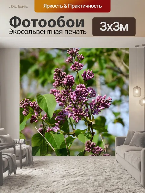 Фотообои Сирень