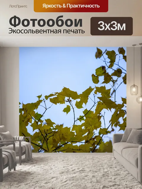Фотообои Осенние листья