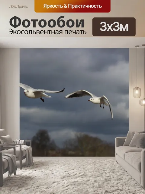 Фотообои Птицы