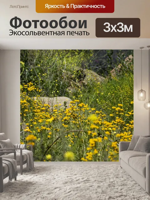 Фотообои желтые полевые цветы