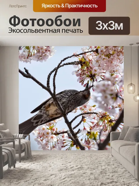 Фотообои Животное