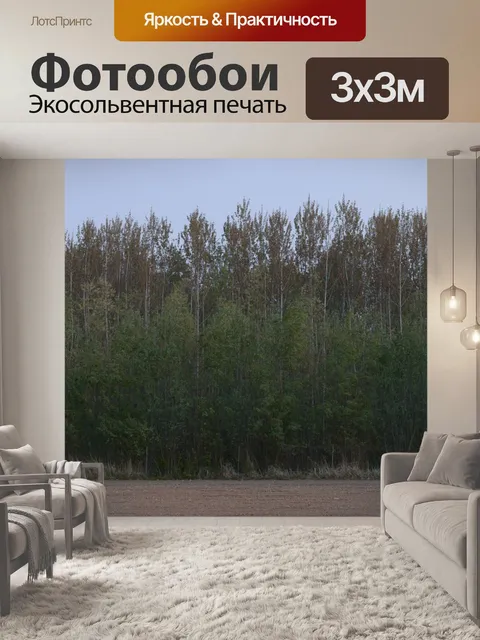 Фотообои Деревья