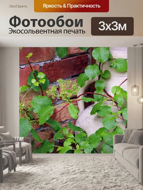 Фотообои Терракота