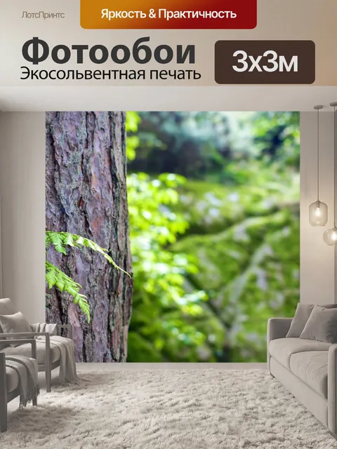 Фотообои Лес