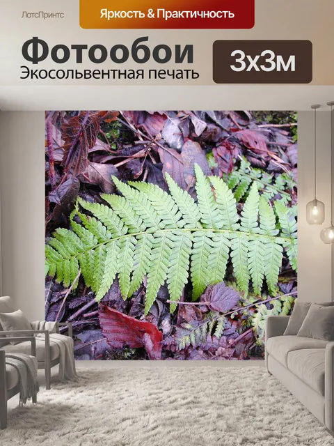 Фотообои Папоротник