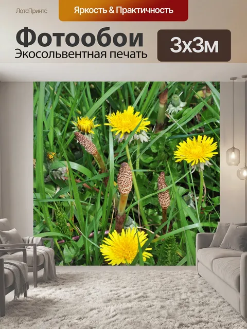 Фотообои Желтые цветы