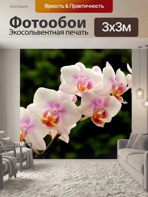 Фотообои Орхидеи