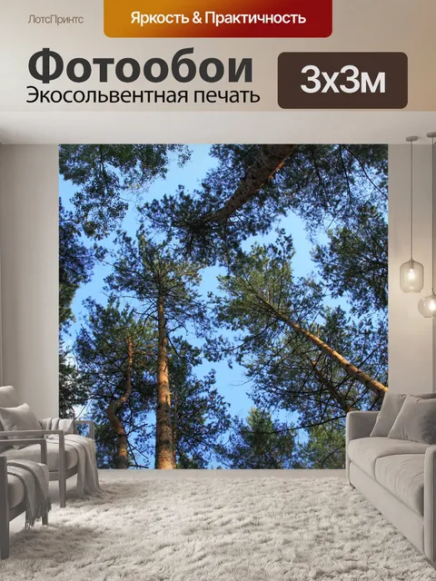 Фотообои лес