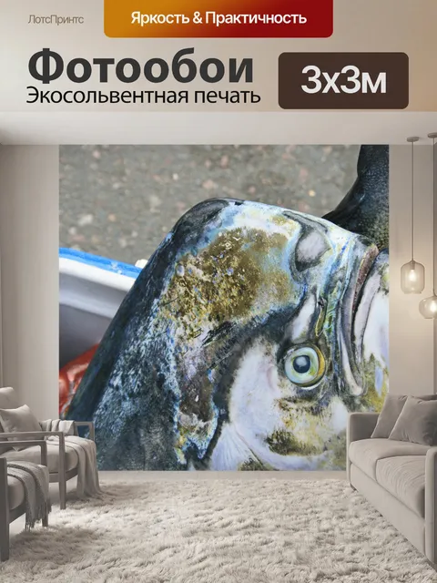 Фотообои дорадо поймали в ДУРБАНСКОЙ гавани