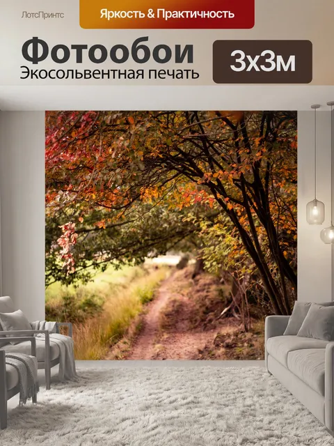 Фотообои Лес