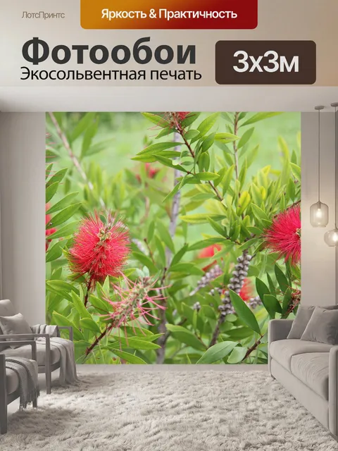 Фотообои Цветы