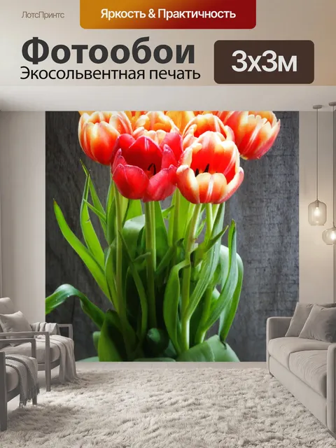 Фотообои Цветок