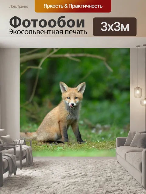 Фотообои Дикой природы