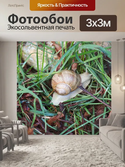 Фотообои Природа