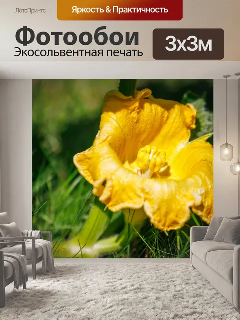 Фотообои Желтый цветок тыквы