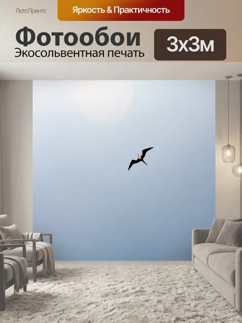Фотообои Птицы летают