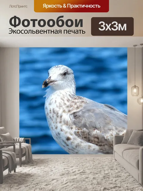 Фотообои Птица