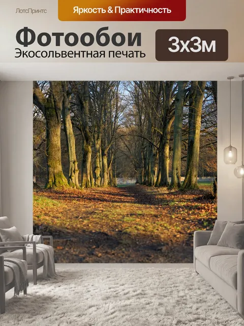 Фотообои Деревья