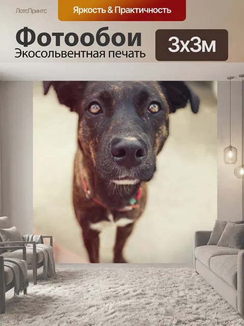 Фотообои Животное