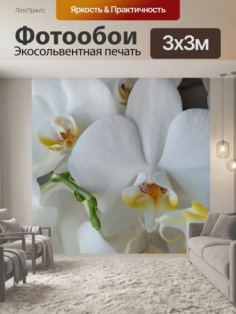 Фотообои Цветок