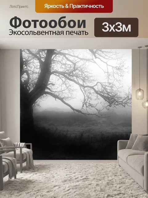 Фотообои Туман