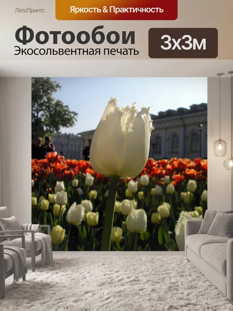 Фотообои Тюльпан