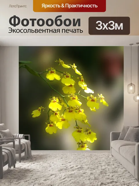 Фотообои Цветы