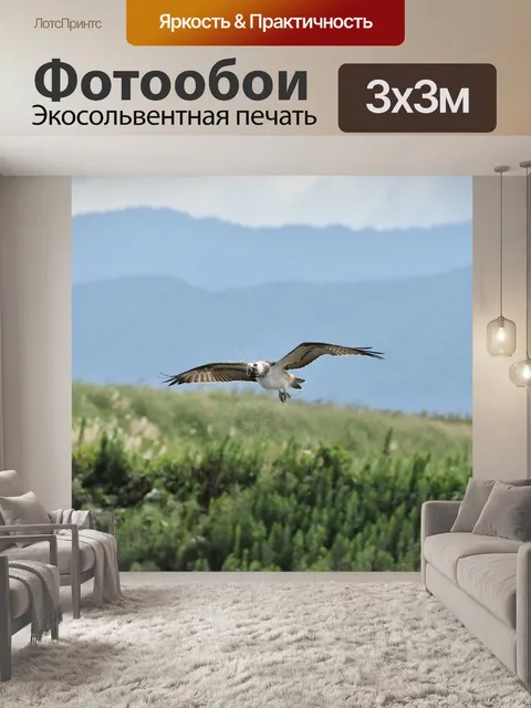 Фотообои Животное